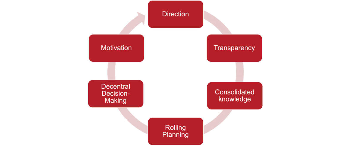 Figure 2 | The solution cycle: Direction, Transparency, Consolidated knowledge, Rolling Planning, Decentral Decision-Making, Motivation