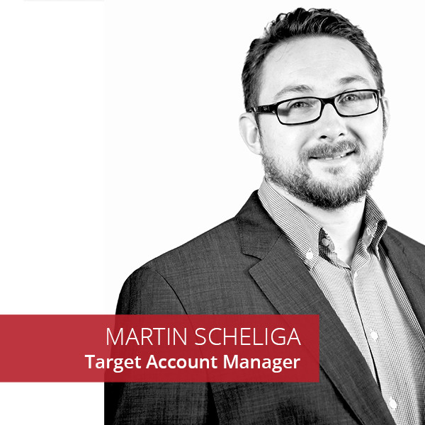 Martin Scheliga IT Management Consultant