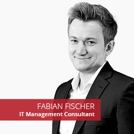 Fabian Fischer_IT Managemente Consultant_Bee360_263px